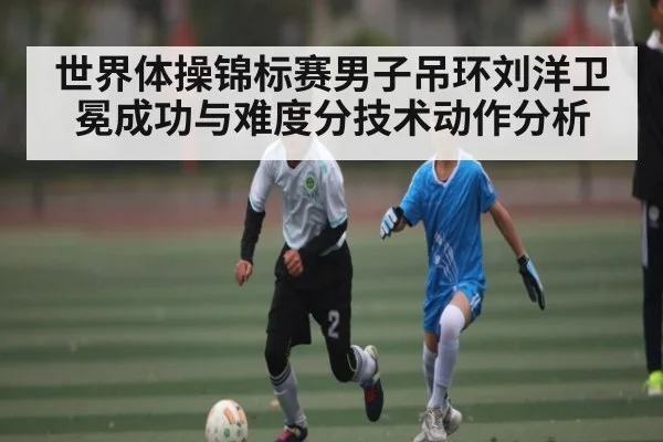 世界体操锦标赛男子吊环刘洋卫冕成功与难度分技术动作分析(kaiyun)